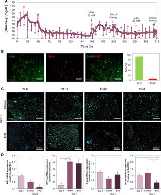 Continuous inline monitoring of glucose in an organ-on-chip using FreeStyle™ libre glucometers